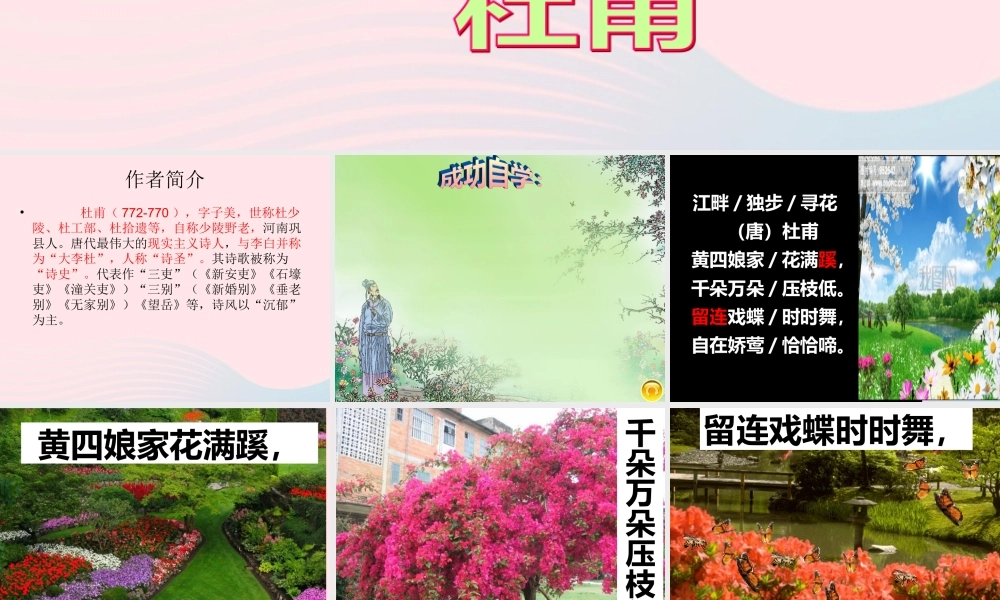 六年级语文下册 古诗词背诵 4江畔独步寻花课件 新人教版-新人教版小学六年级下册语文课件