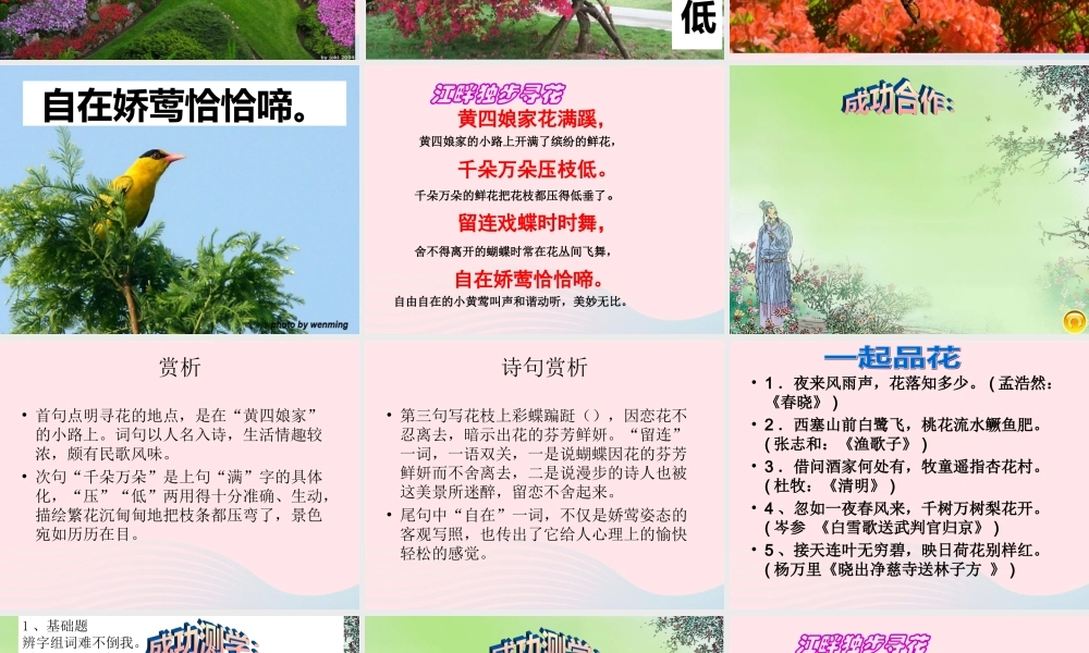 六年级语文下册 古诗词背诵 4江畔独步寻花课件 新人教版-新人教版小学六年级下册语文课件