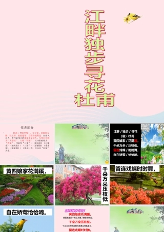 六年级语文下册 古诗词背诵 4江畔独步寻花课件 新人教版-新人教版小学六年级下册语文课件