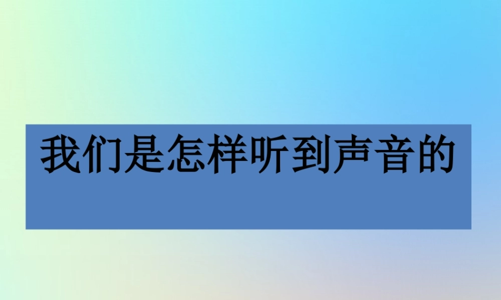 四年级科学上册 声音 6我们是怎样听到声音的课件 教科版-教科版小学四年级上册自然科学课件