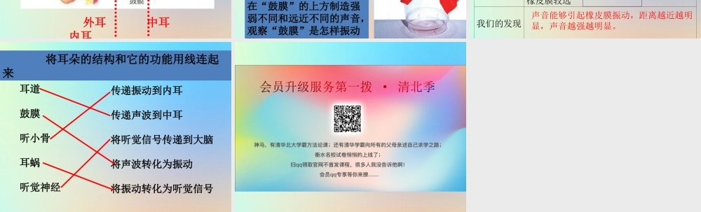 四年级科学上册 声音 6我们是怎样听到声音的课件 教科版-教科版小学四年级上册自然科学课件