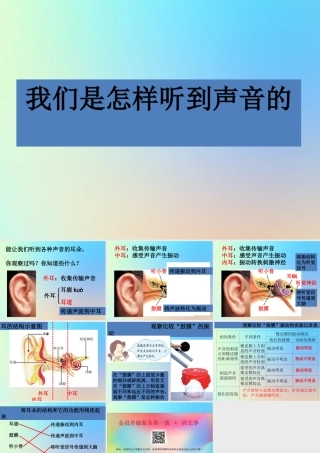 四年级科学上册 声音 6我们是怎样听到声音的课件 教科版-教科版小学四年级上册自然科学课件