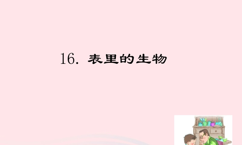 六年级语文下册 第五单元 16 表里的生物教学课件 新人教版-新人教版小学六年级下册语文课件