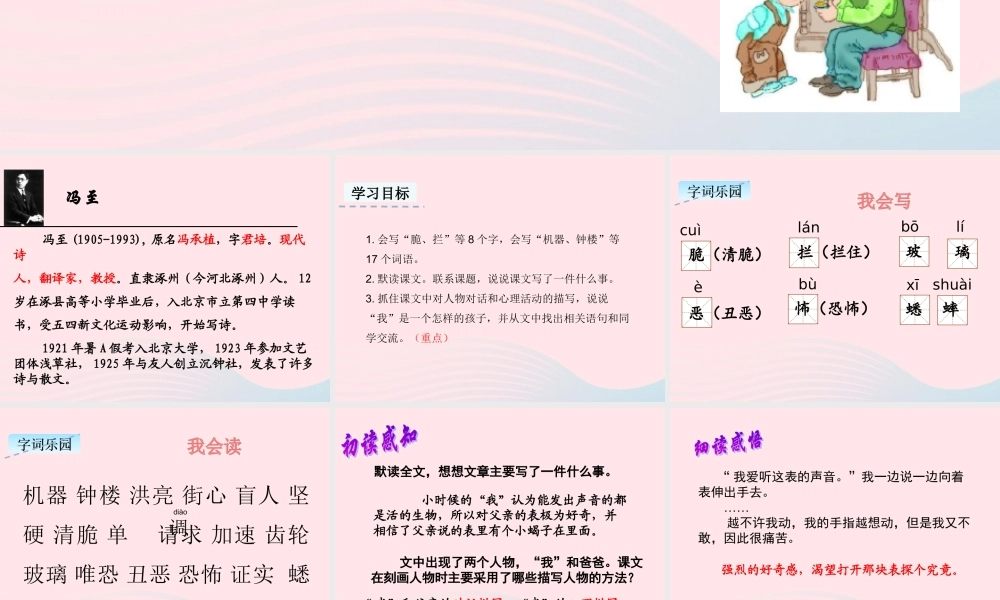 六年级语文下册 第五单元 16 表里的生物教学课件 新人教版-新人教版小学六年级下册语文课件