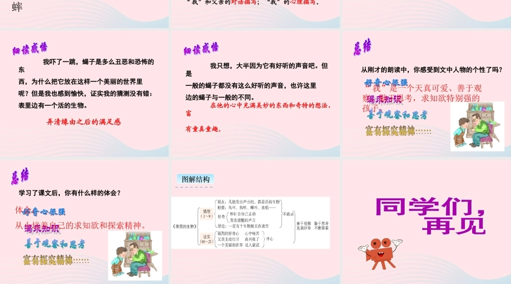 六年级语文下册 第五单元 16 表里的生物教学课件 新人教版-新人教版小学六年级下册语文课件