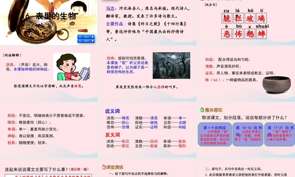 六年级语文下册 第五单元 16 表里的生物精品课件 新人教版-新人教版小学六年级下册语文课件