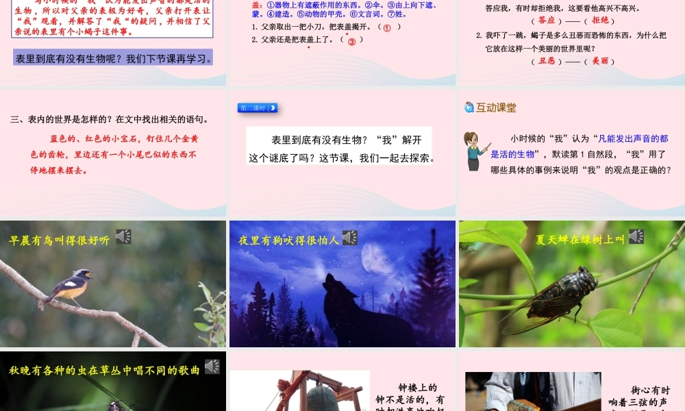 六年级语文下册 第五单元 16 表里的生物精品课件 新人教版-新人教版小学六年级下册语文课件