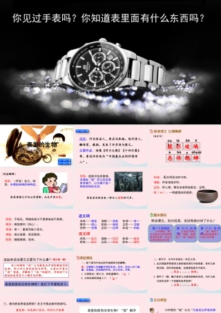 六年级语文下册 第五单元 16 表里的生物精品课件 新人教版-新人教版小学六年级下册语文课件