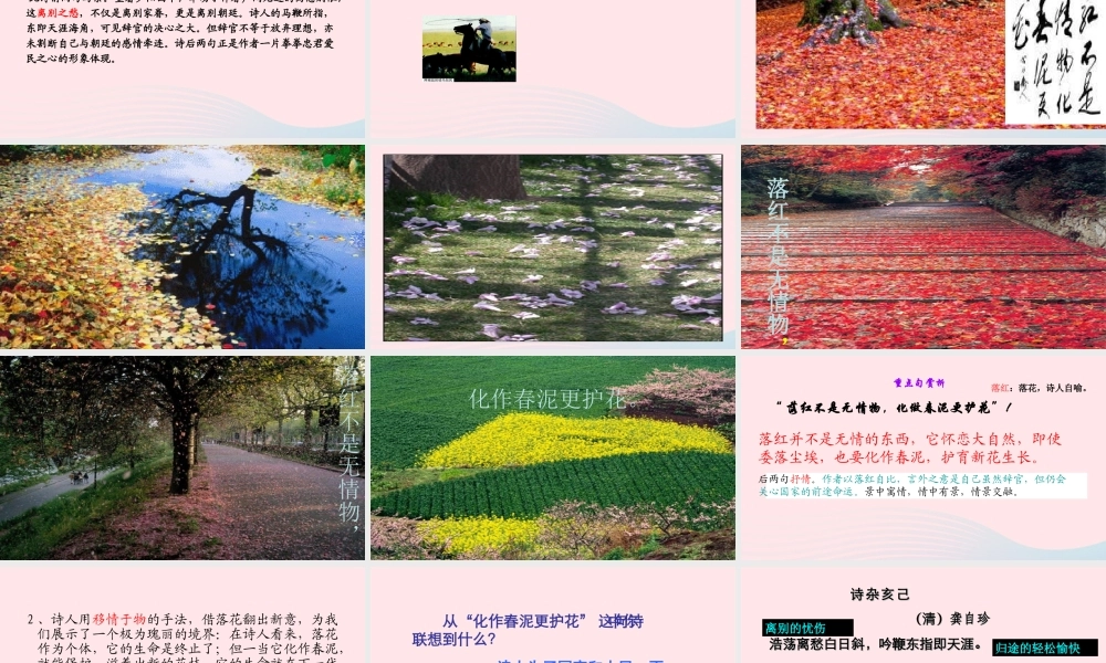 六年级语文下册 古诗词背诵 8己亥杂诗课件1 新人教版-新人教版小学六年级下册语文课件