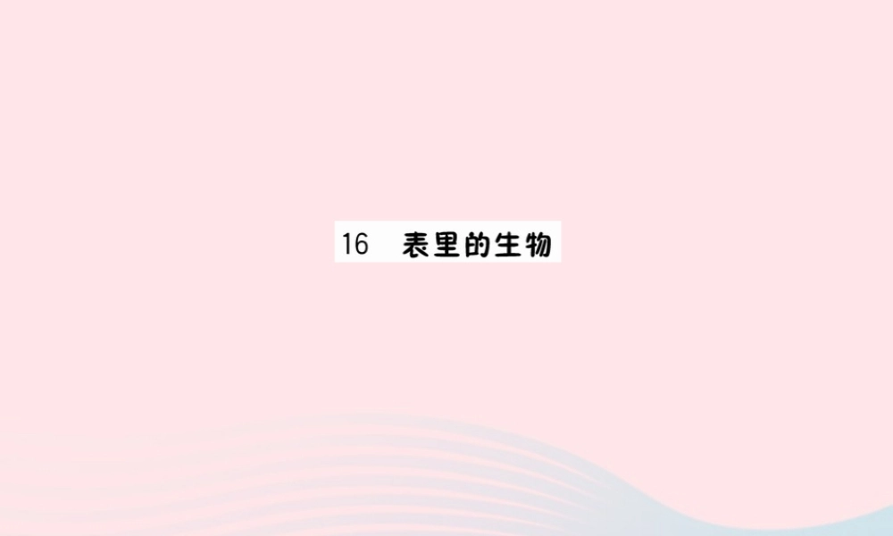 六年级语文下册 第五单元 16 表里的生物课件 新人教版-新人教版小学六年级下册语文课件