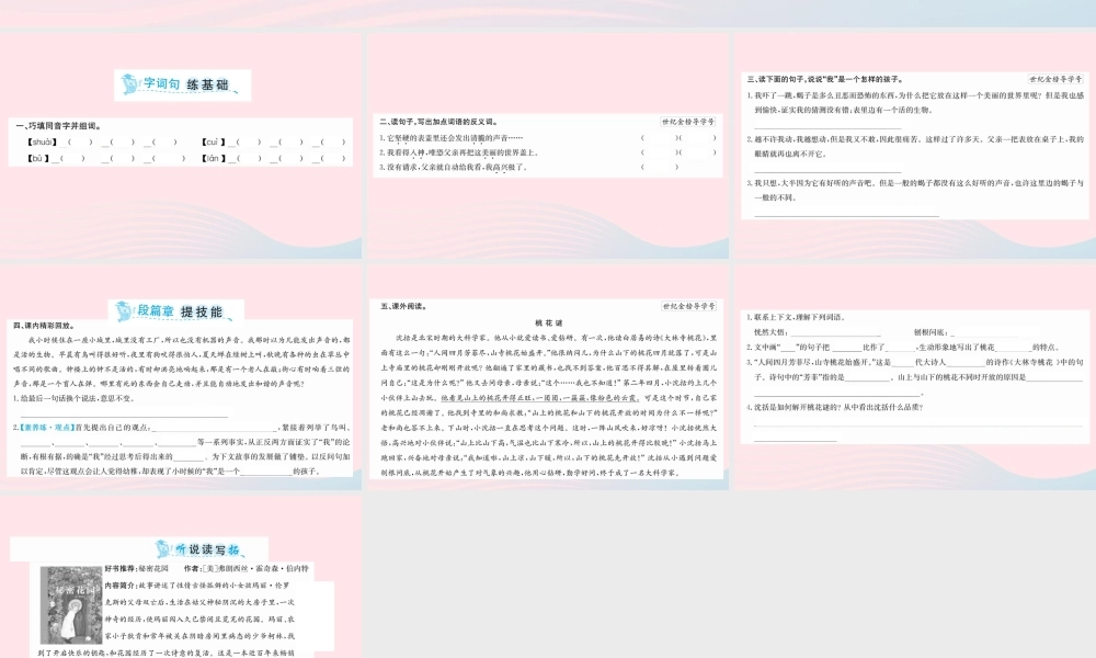 六年级语文下册 第五单元 16 表里的生物课件 新人教版-新人教版小学六年级下册语文课件