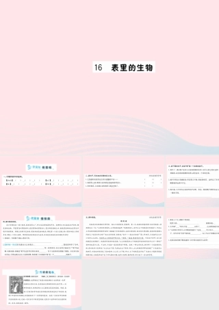六年级语文下册 第五单元 16 表里的生物课件 新人教版-新人教版小学六年级下册语文课件