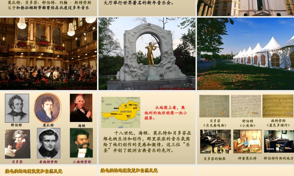 六年级语文下册《音乐之都维也纳》教学课件（详细解读）
