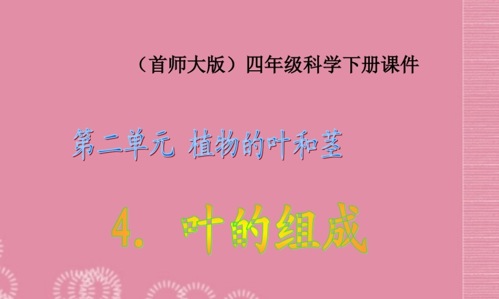 四年级科学上册 叶的组成 1课件 首师大版