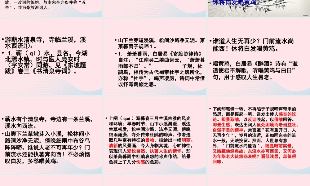 六年级语文下册 古诗词背诵 9浣溪沙课件2 新人教版-新人教版小学六年级下册语文课件