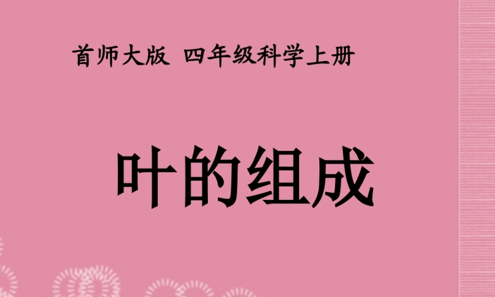 四年级科学上册 叶的组成 2课件 首师大版