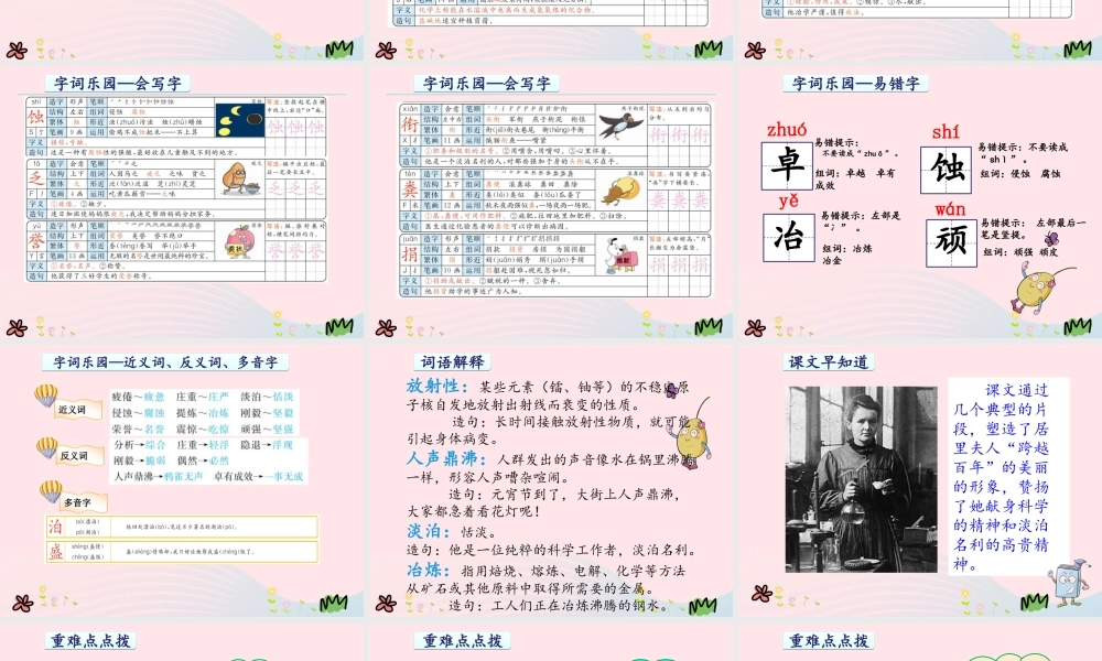 六年级语文下册 第五单元 18 跨越百年的美丽课件 新人教版-新人教版小学六年级下册语文课件