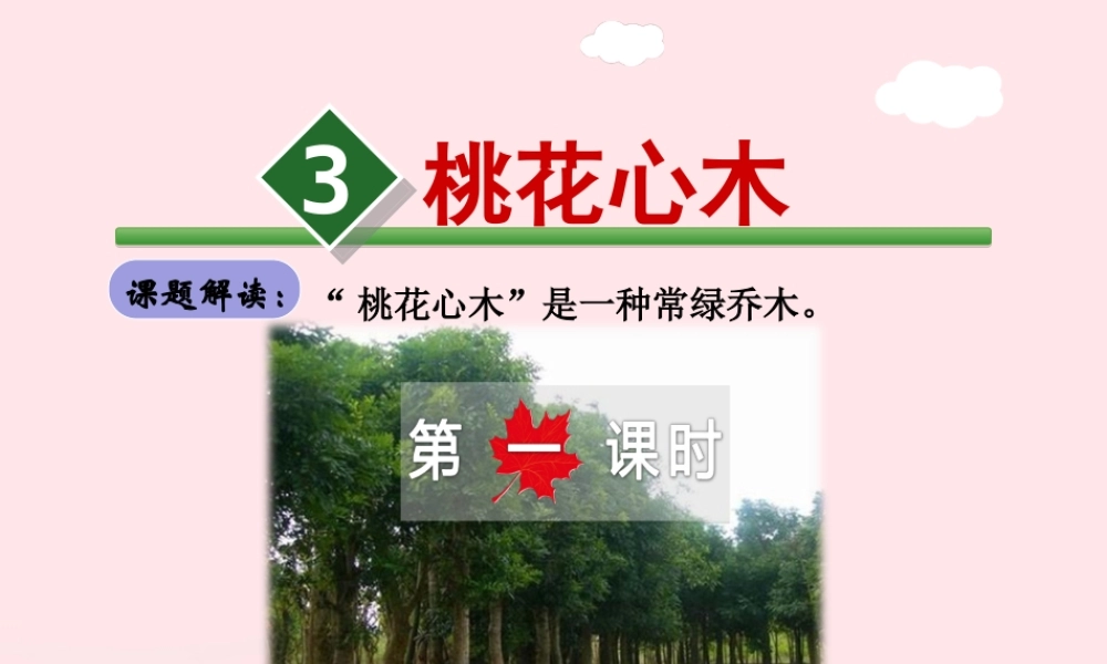 六年级语文下册 第一单元 3 桃花心木（第1课时）课件 新人教版-新人教版小学六年级下册语文课件