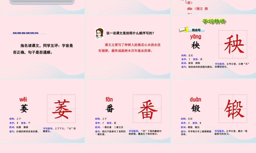 六年级语文下册 第一单元 3 桃花心木（第1课时）课件 新人教版-新人教版小学六年级下册语文课件