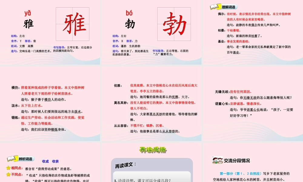 六年级语文下册 第一单元 3 桃花心木（第1课时）课件 新人教版-新人教版小学六年级下册语文课件