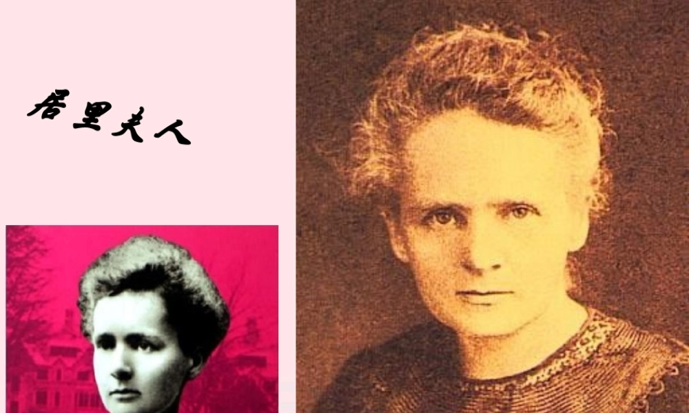 六年级语文下册 第五单元 18 跨越百年的美丽课堂教学课件2 新人教版-新人教版小学六年级下册语文课件