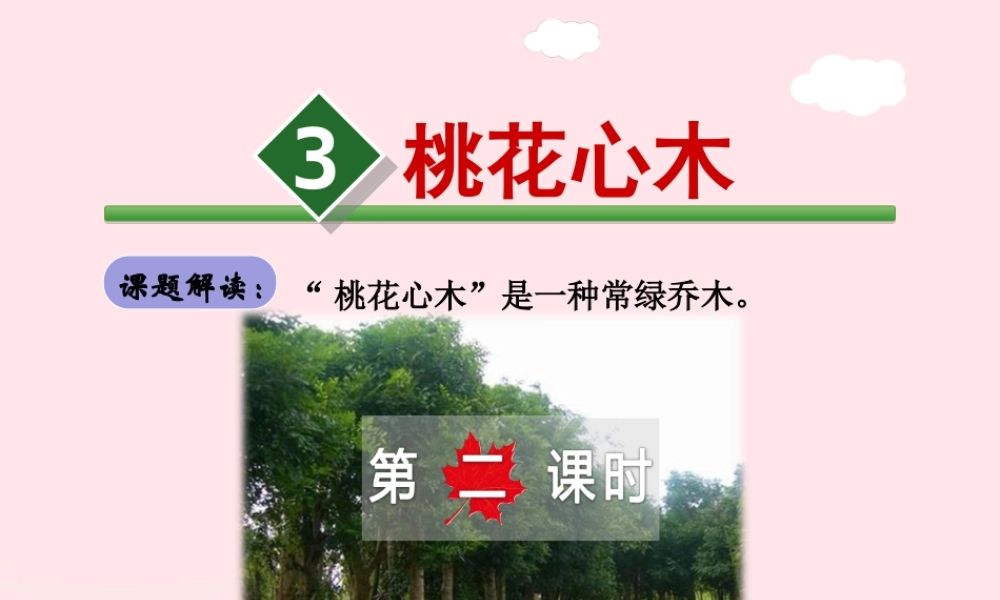 六年级语文下册 第一单元 3 桃花心木（第2课时）课件 新人教版-新人教版小学六年级下册语文课件
