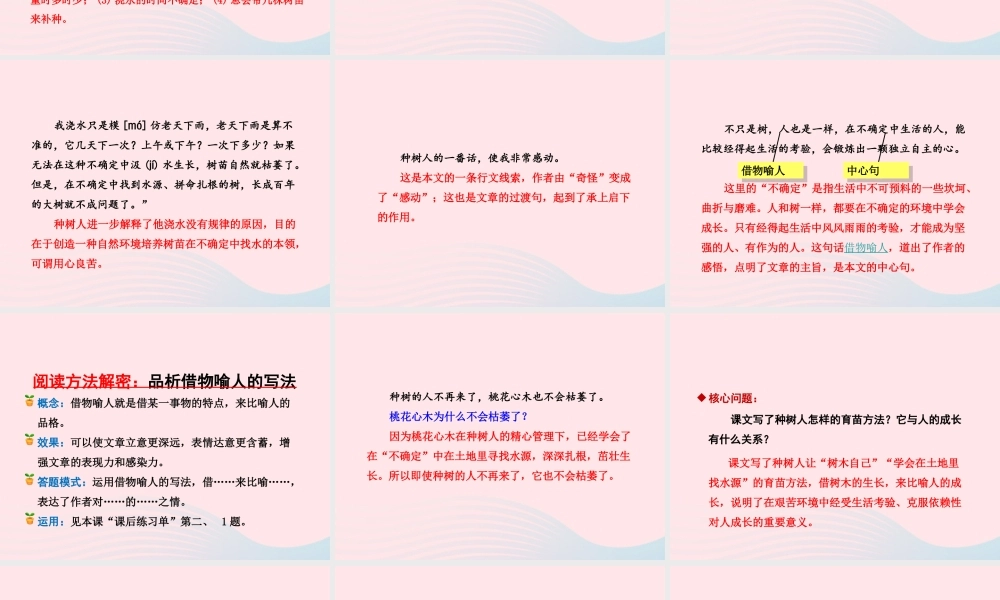 六年级语文下册 第一单元 3 桃花心木（第2课时）课件 新人教版-新人教版小学六年级下册语文课件