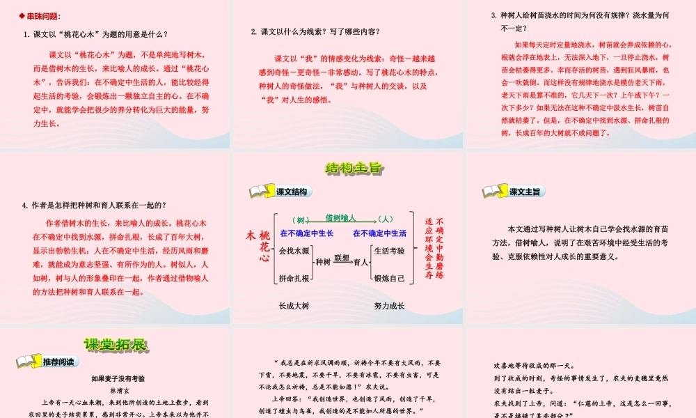 六年级语文下册 第一单元 3 桃花心木（第2课时）课件 新人教版-新人教版小学六年级下册语文课件