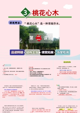 六年级语文下册 第一单元 3 桃花心木（第2课时）课件 新人教版-新人教版小学六年级下册语文课件