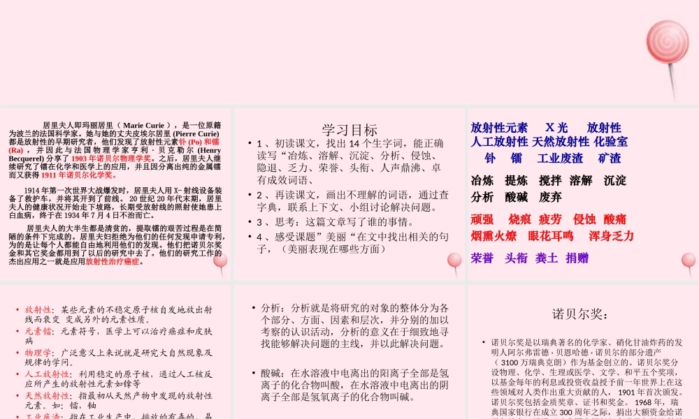 六年级语文下册 第五单元 18 跨越百年的美丽课堂教学课件3 新人教版-新人教版小学六年级下册语文课件