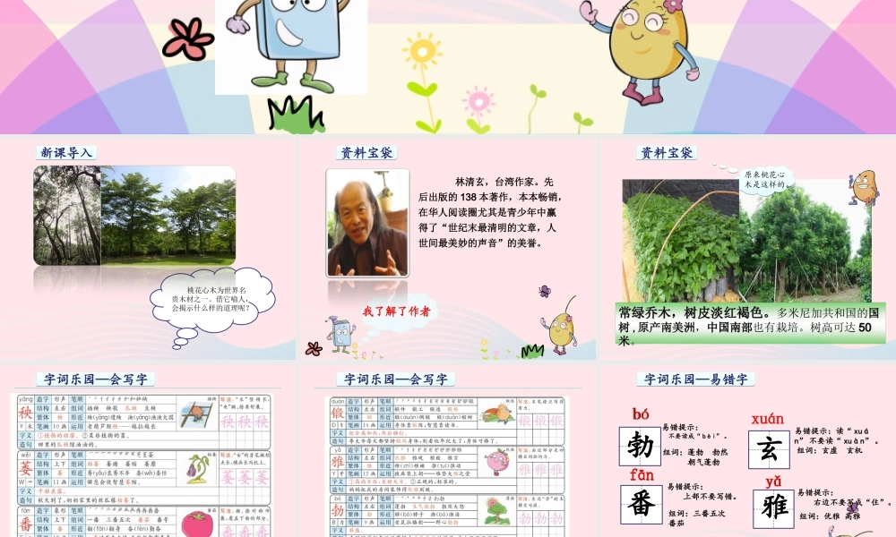 六年级语文下册 第一单元 3 桃花心木课件1 新人教版-新人教版小学六年级下册语文课件