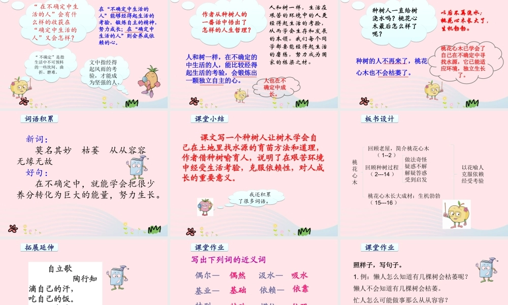六年级语文下册 第一单元 3 桃花心木课件1 新人教版-新人教版小学六年级下册语文课件