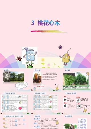 六年级语文下册 第一单元 3 桃花心木课件1 新人教版-新人教版小学六年级下册语文课件