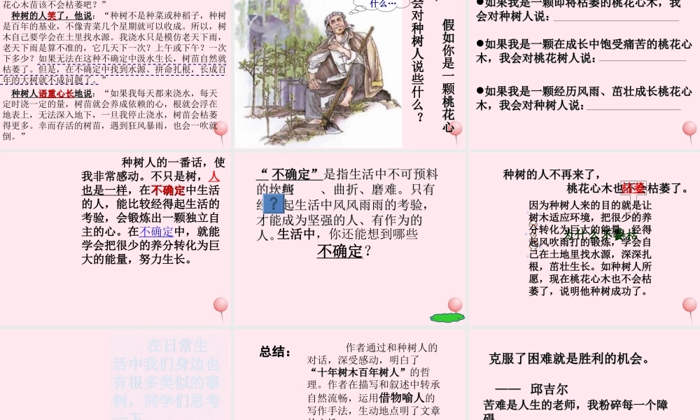 六年级语文下册 第一单元 3 桃花心木课堂教学课件1 新人教版-新人教版小学六年级下册语文课件