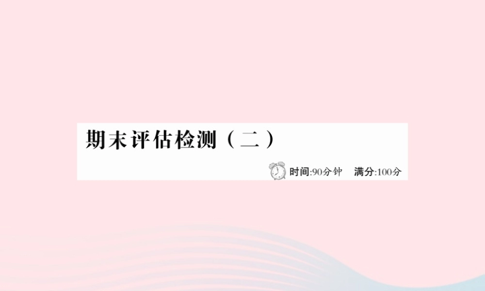 六年级语文下册 期末评估检测(二)课件 新人教版-新人教版小学六年级下册语文课件