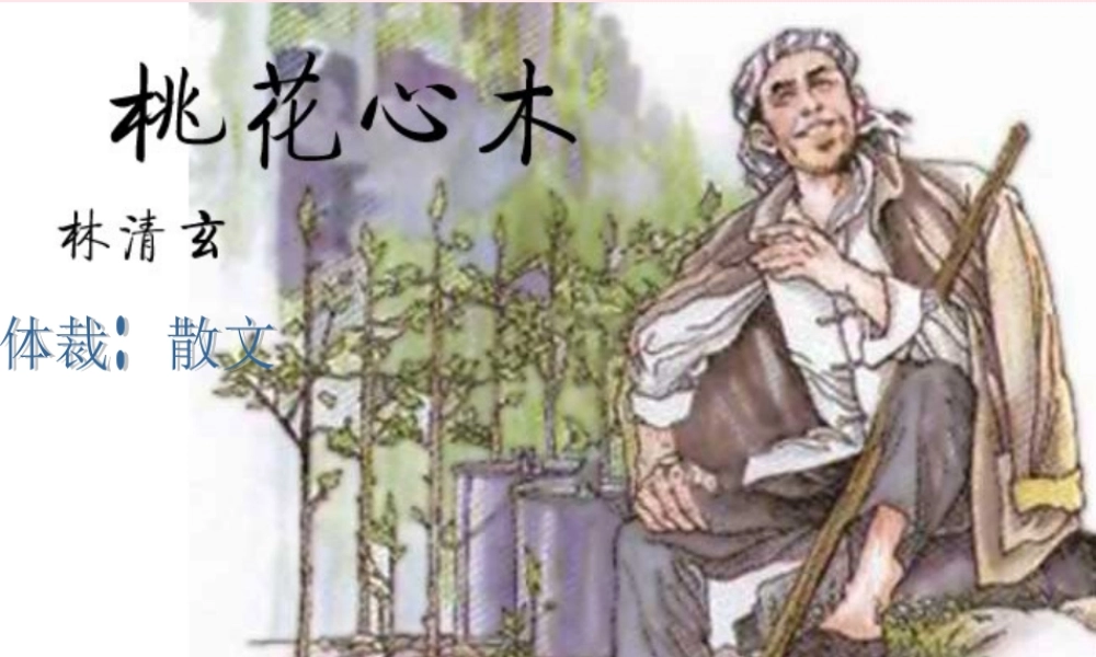 六年级语文下册 第一单元 3 桃花心木课堂教学课件2 新人教版-新人教版小学六年级下册语文课件