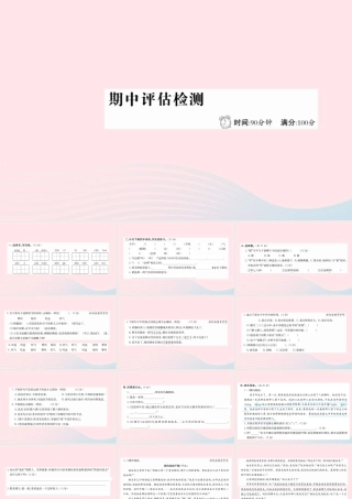 六年级语文下册 期中评估检测课件 新人教版-新人教版小学六年级下册语文课件