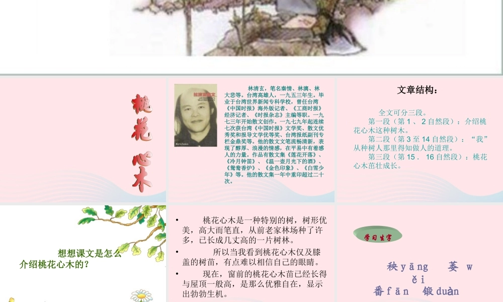 六年级语文下册 第一单元 3 桃心花木课件2 新人教版-新人教版小学六年级下册语文课件