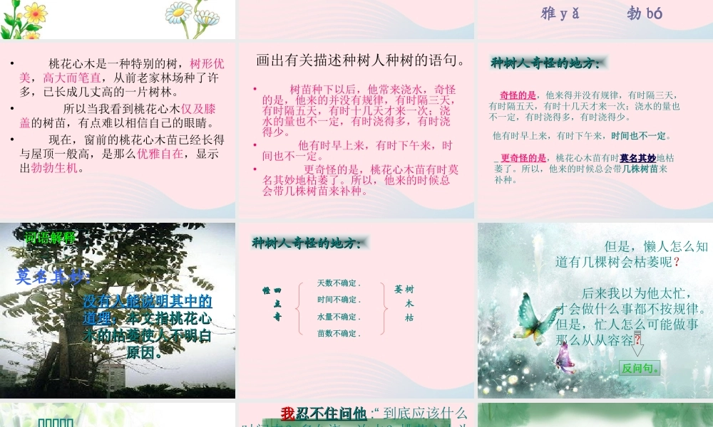 六年级语文下册 第一单元 3 桃心花木课件2 新人教版-新人教版小学六年级下册语文课件