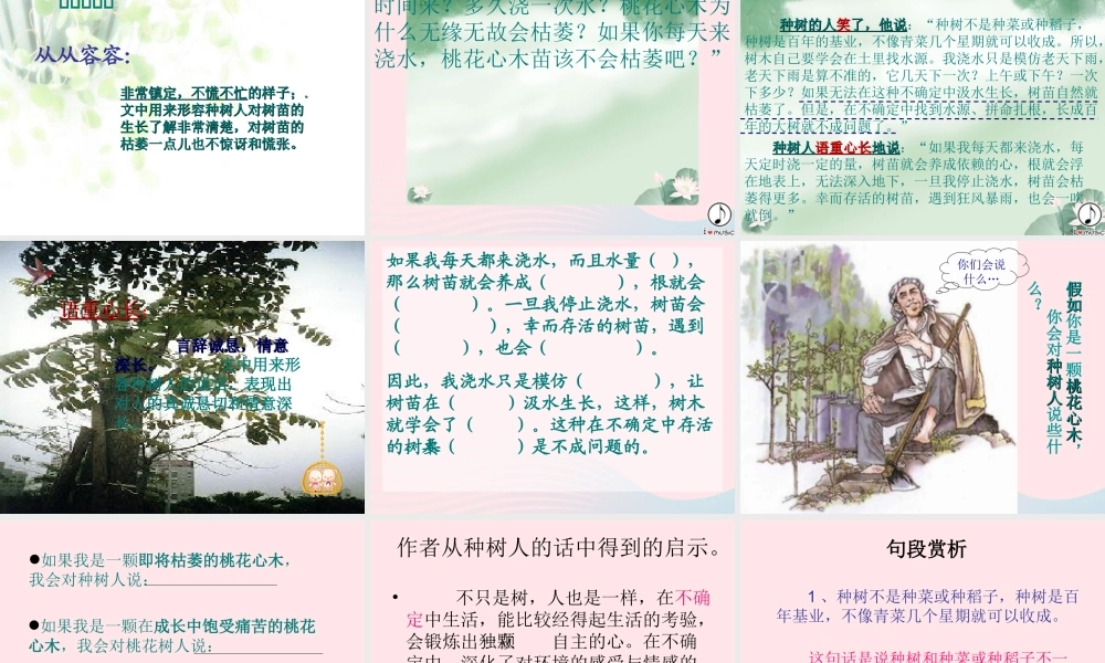 六年级语文下册 第一单元 3 桃心花木课件2 新人教版-新人教版小学六年级下册语文课件