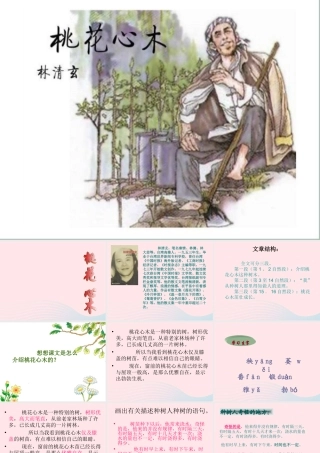 六年级语文下册 第一单元 3 桃心花木课件2 新人教版-新人教版小学六年级下册语文课件