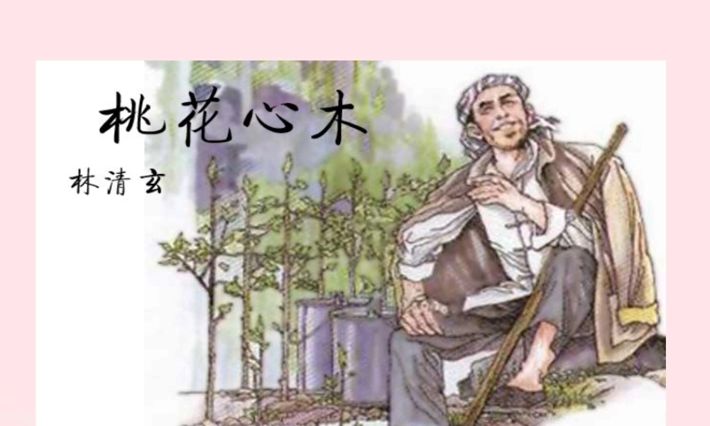 六年级语文下册 第一单元 3桃花心木课件 新人教版-新人教版小学六年级下册语文课件