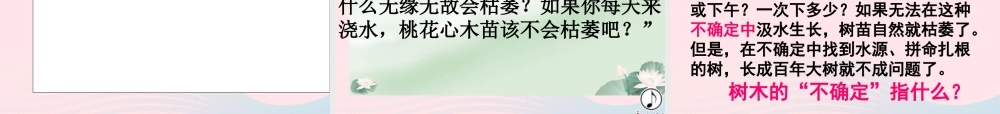 六年级语文下册 第一单元 3桃花心木课件 新人教版-新人教版小学六年级下册语文课件