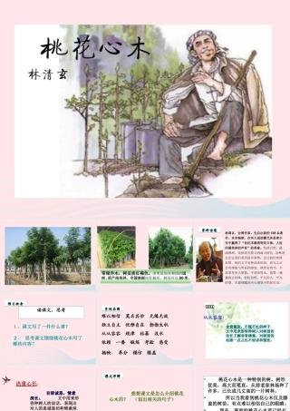 六年级语文下册 第一单元 3桃花心木课件 新人教版-新人教版小学六年级下册语文课件