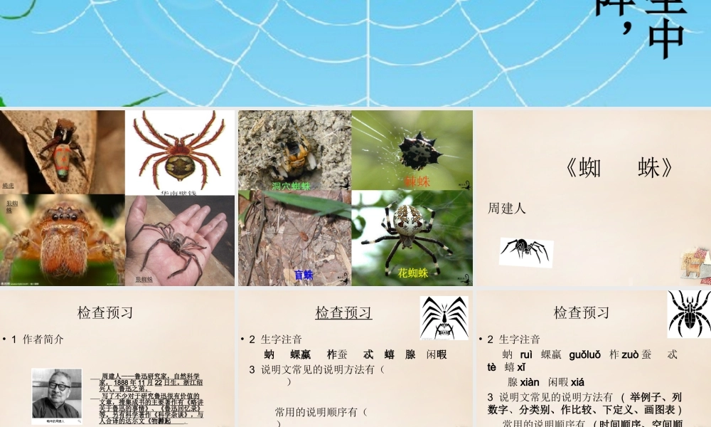 六年级语文下册《蜘蛛》课件1 长春版-长春版小学六年级下册语文课件