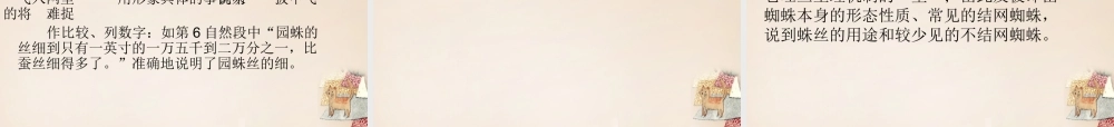六年级语文下册《蜘蛛》课件1 长春版-长春版小学六年级下册语文课件