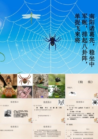 六年级语文下册《蜘蛛》课件1 长春版-长春版小学六年级下册语文课件