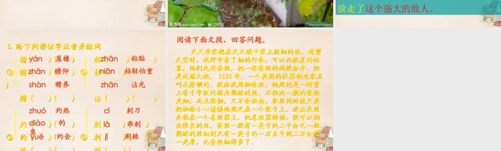 六年级语文下册《蜘蛛》课件2 长春版-长春版小学六年级下册语文课件