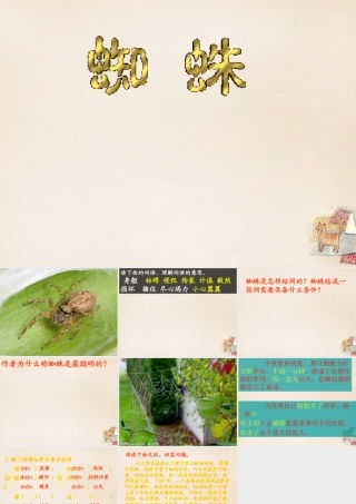 六年级语文下册《蜘蛛》课件2 长春版-长春版小学六年级下册语文课件
