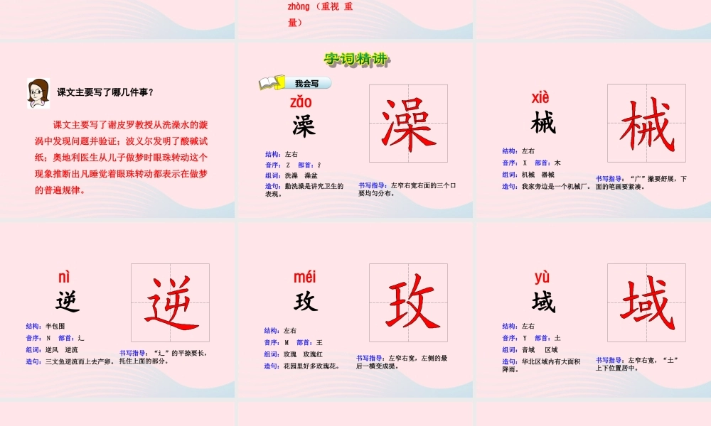 六年级语文下册 第五单元 20 真理诞生于一百个问号之后（第1课时）课件 新人教版-新人教版小学六年级下册语文课件